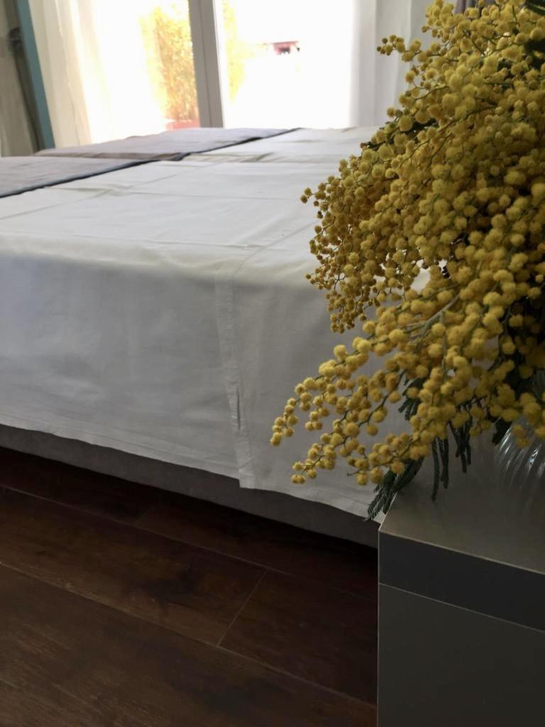 Amberyellowbnb Shkodër Dış mekan fotoğraf